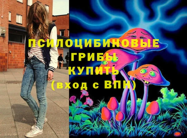 PSILOCYBIN Абдулино